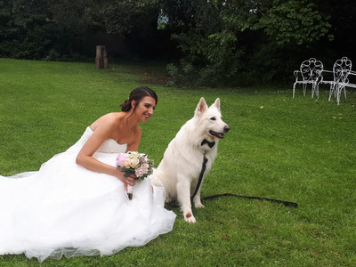 8307591_wedshoots.jpg