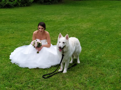 8308337_wedshoots.jpg