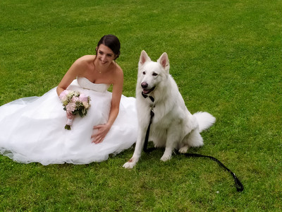 8308343_wedshoots.jpg