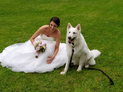 8308403_wedshoots.jpg