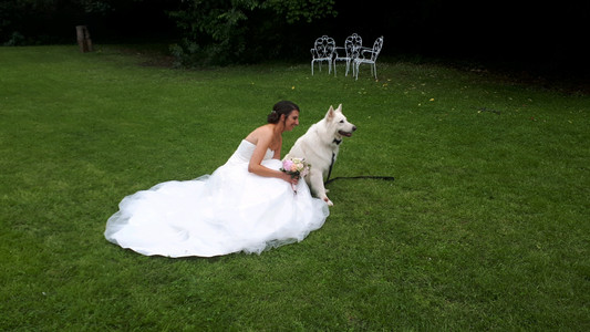 8318121_wedshoots.jpg