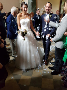 8427769_wedshoots.jpg