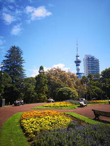 IMG_20200306_125631.jpg
