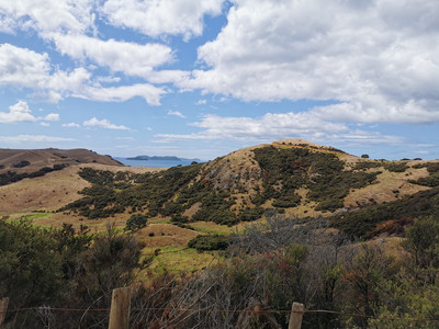 IMG_20200311_131139.jpg