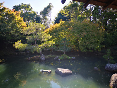 IMG_20200313_101237.jpg
