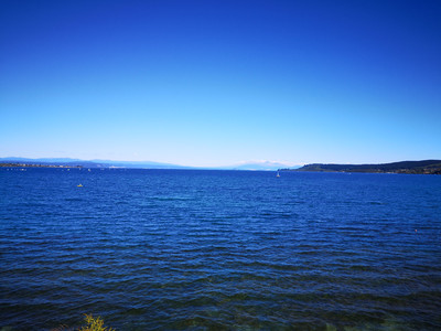 IMG_20200315_140559.jpg