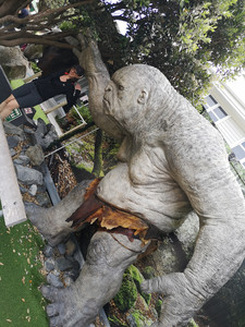 IMG_20200316_155618.jpg