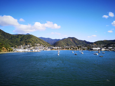 IMG_20200317_164941.jpg