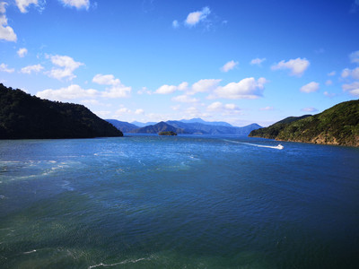 IMG_20200317_165120.jpg