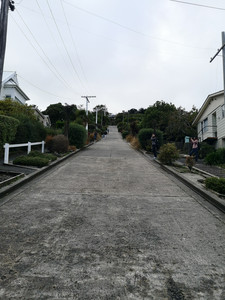 IMG_20200322_103302.jpg