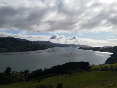 IMG_20200322_105716.jpg