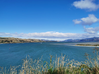 IMG_20200322_112953.jpg