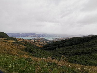 IMG_20200324_120955.jpg
