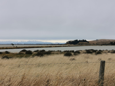 IMG_20200324_130024.jpg